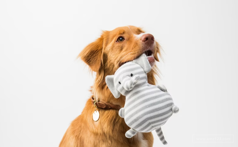 用AI把宠物主变成每月付费会员：跨境电商学什么？